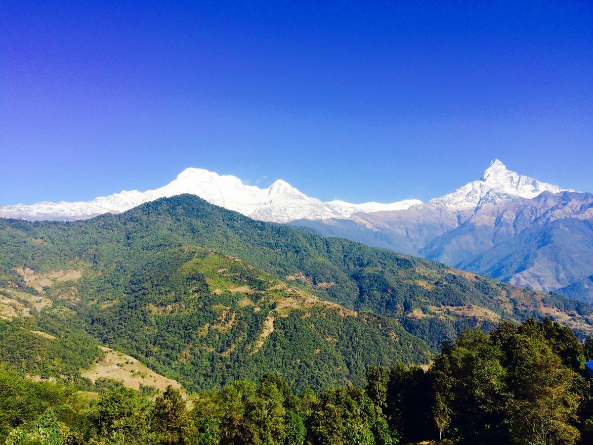 Aroma Tourist Hostel Pokhara Exterior foto