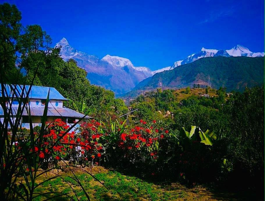 Aroma Tourist Hostel Pokhara Exterior foto