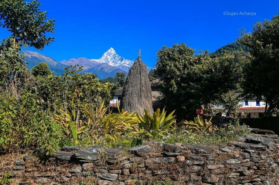 Aroma Tourist Hostel Pokhara Exterior foto